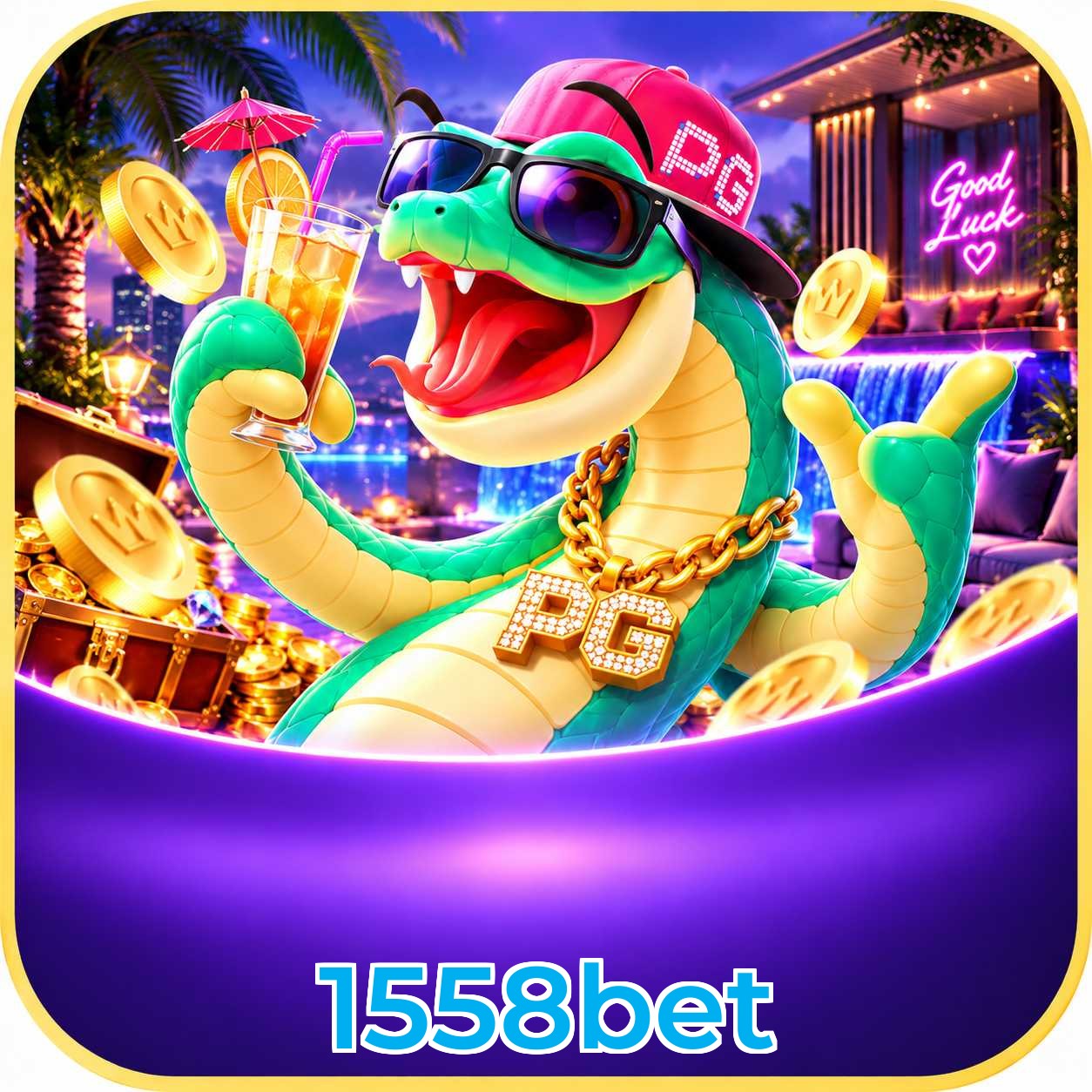 1558bet App vs Web